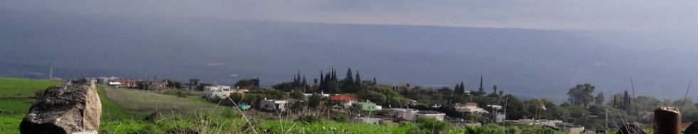 אלמגור