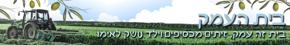 בית העמק