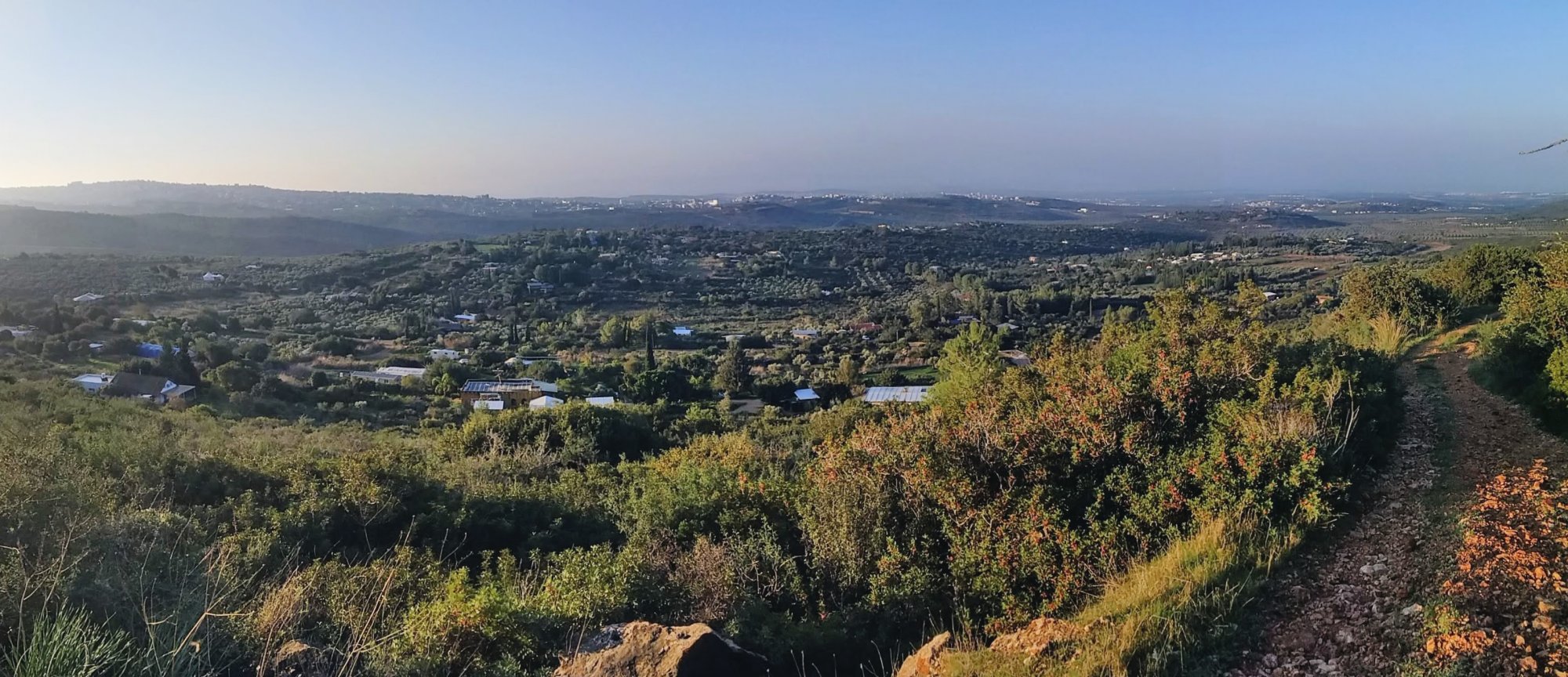 כליל