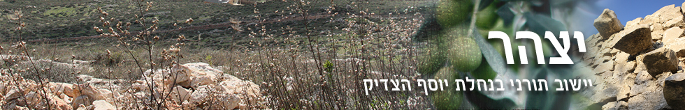 יצהר
