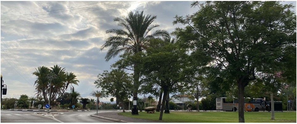 נירית קהילה מקיימת