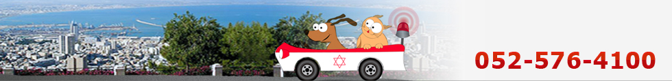 ד''ר שי רונן - וטרינר