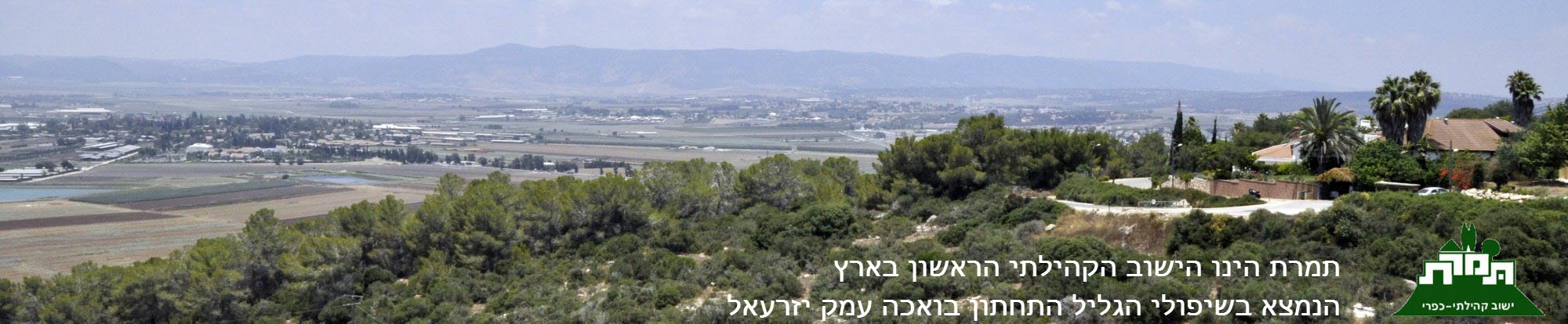 תמרת
