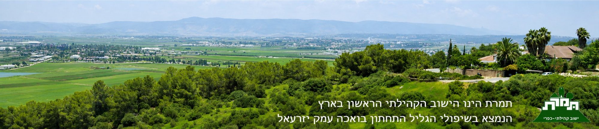 תמרת