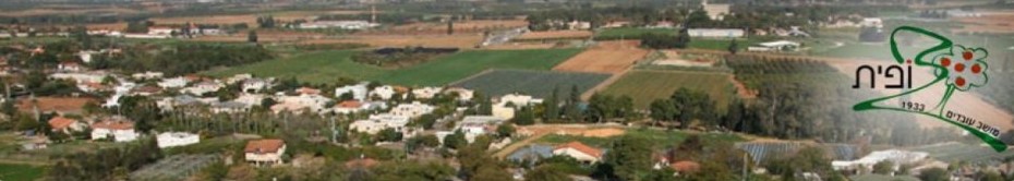 צופית